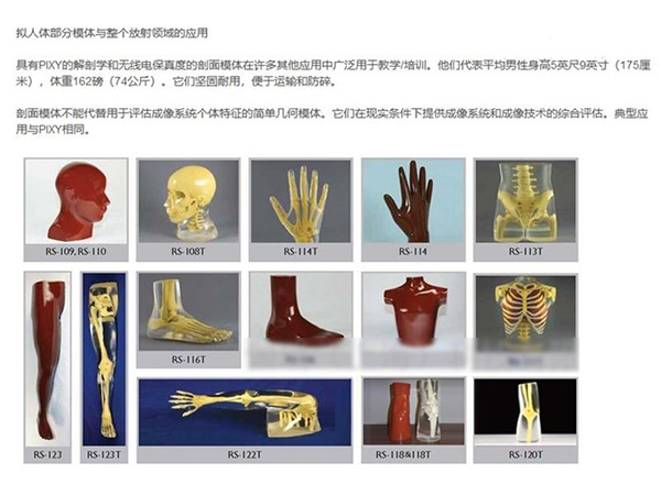 美国RSD模体-血管造影头部模体5.jpg